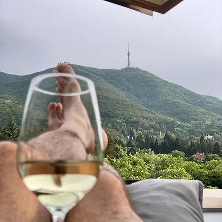 Boutique With Mountain View דירה סופיה