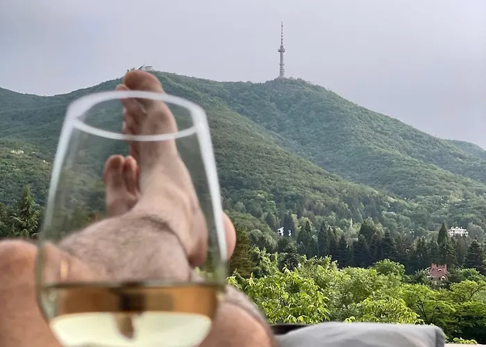 Boutique With Mountain View アパート ソフィア