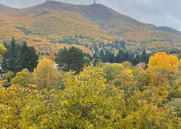 アパート Boutique With Mountain View ソフィア